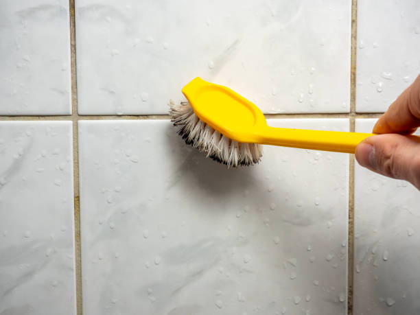Best Commercial Mold Remediation in Wlow Springs, IL