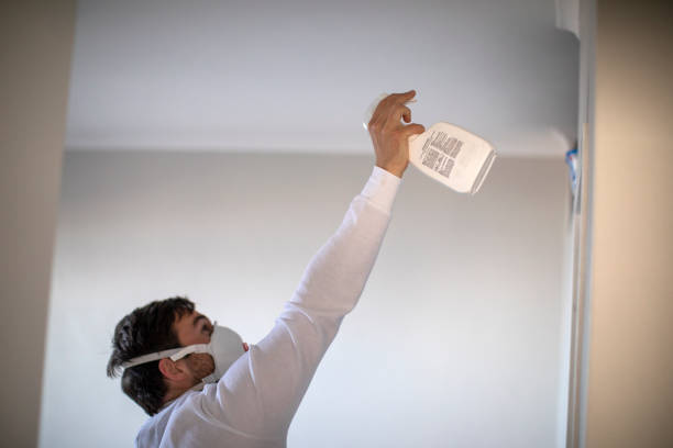 Willow Springs, IL Mold Remediation Company