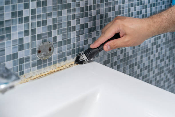Best Emergency Mold Remediation in Wlow Springs, IL
